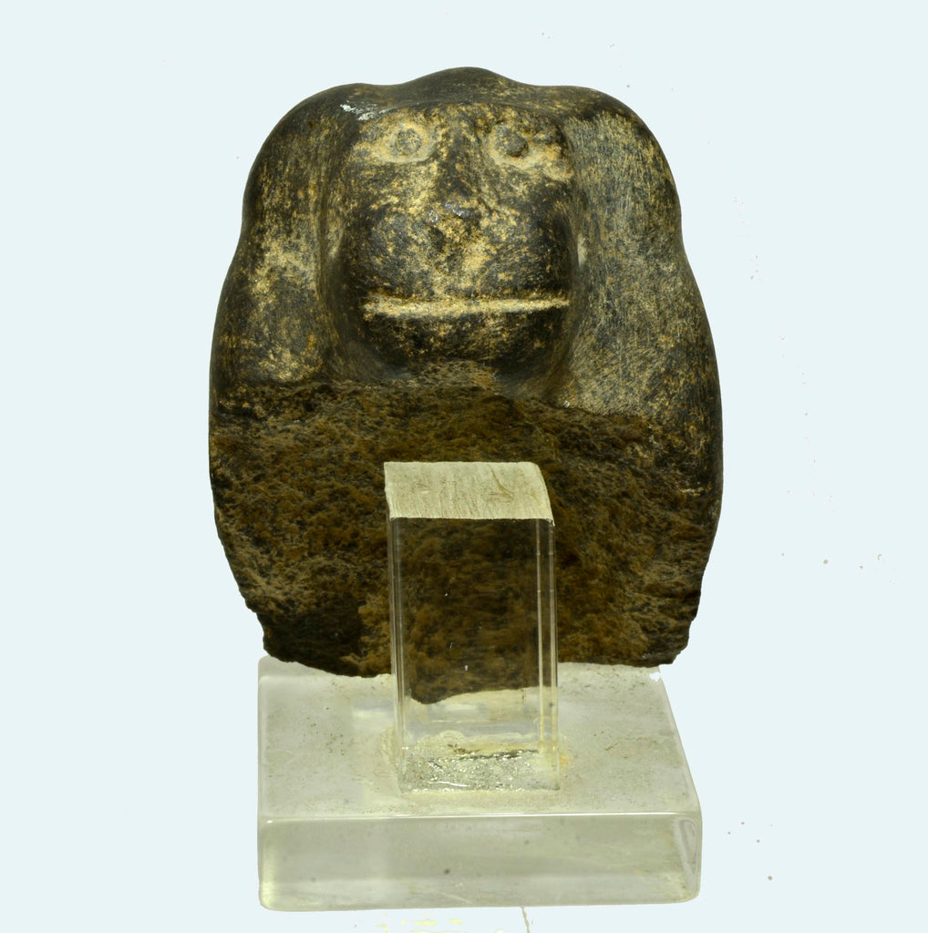 Egyptian Basalt Stone Head of a Baboon - Art for Eternity