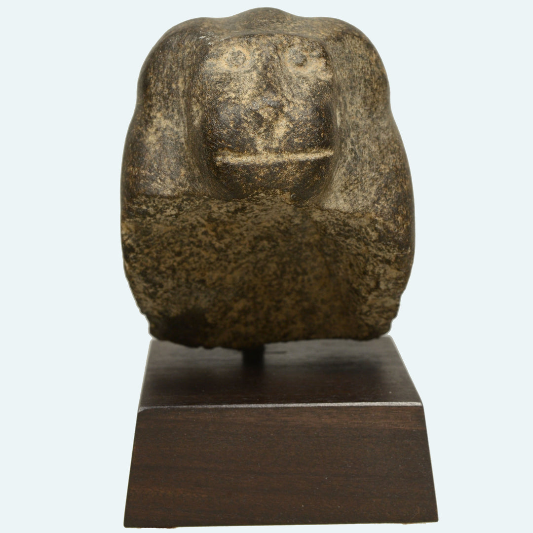 Egyptian Basalt Stone Head of a Baboon