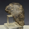 Egyptian Basalt Stone Head of a Baboon - Art for Eternity