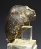 Egyptian Basalt Stone Head of a Baboon - Art for Eternity
