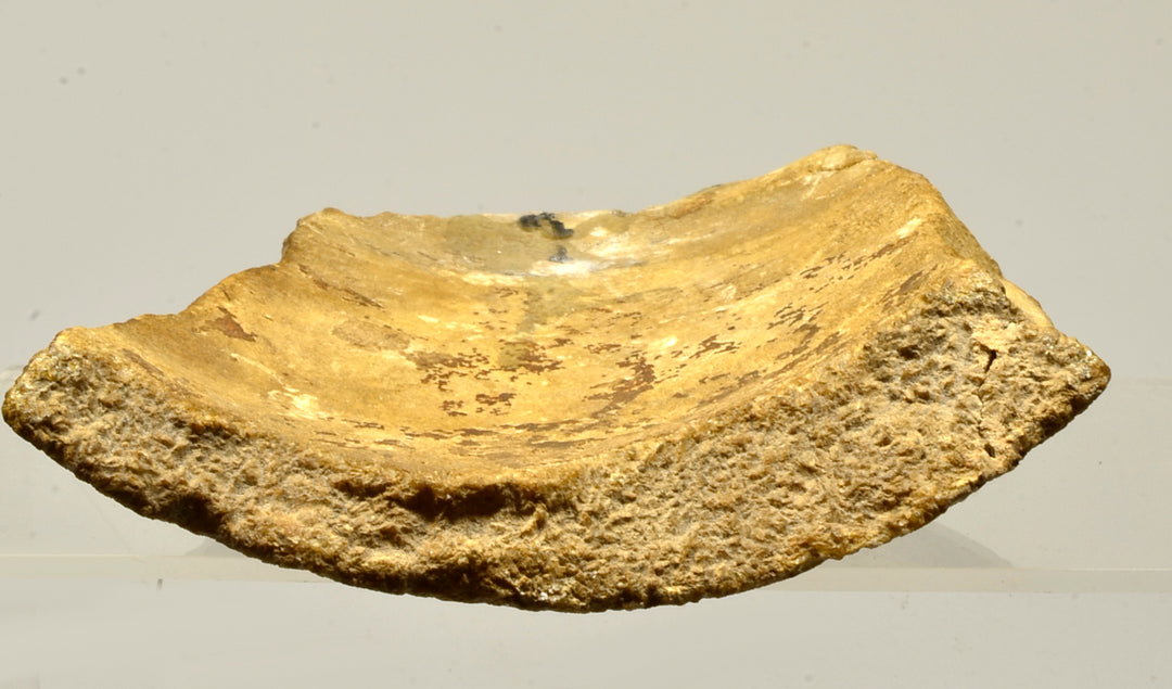 Egyptian Alabaster Jar Fragment with the Cartouches of Ramesses II