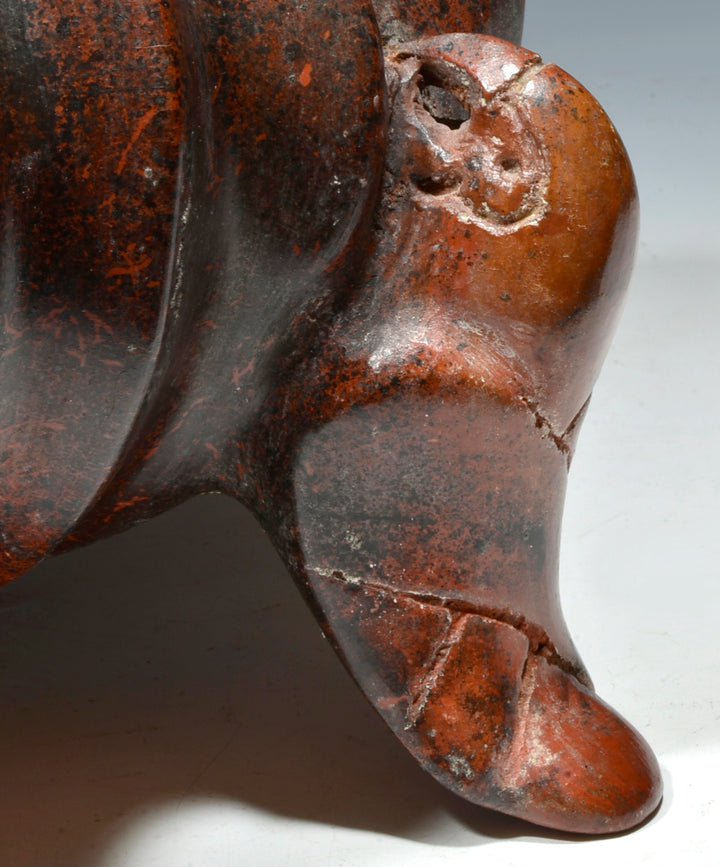 Fine Colima Pottery Gadrooned Parrot Vessel