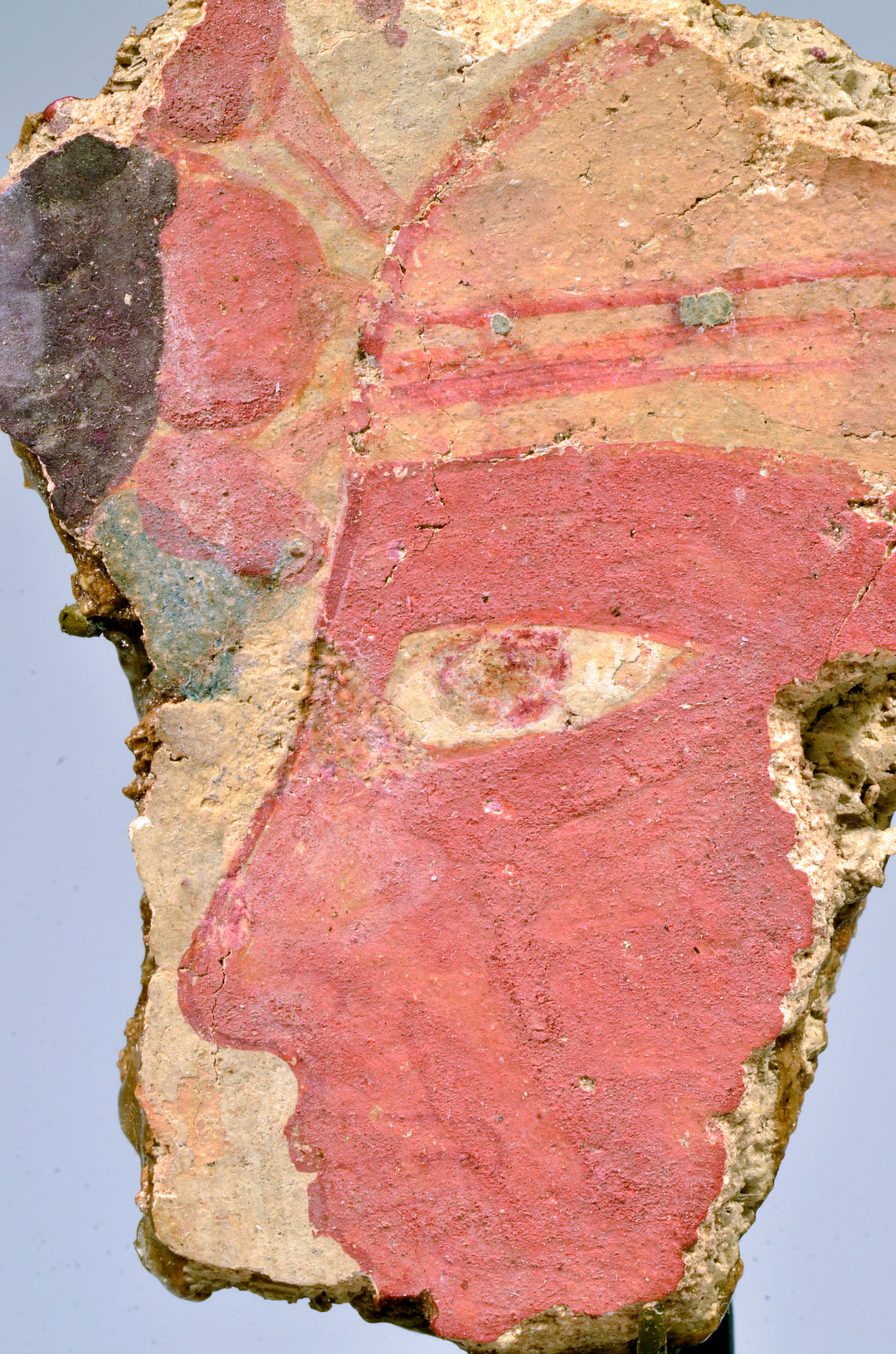 Egyptian Fresco Painting with Profile  Pharaoh Head