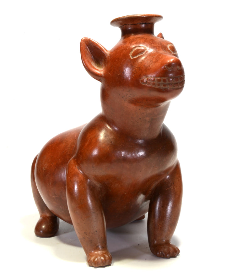 Colima Pottery Seated Dog