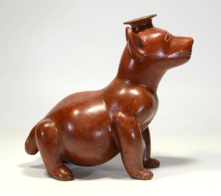 Colima Pottery Seated Dog