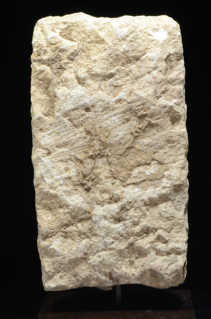 South Arabian Limestone Stele - Art for Eternity