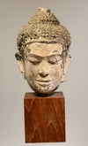 Early Thai Utong Head of Buddha