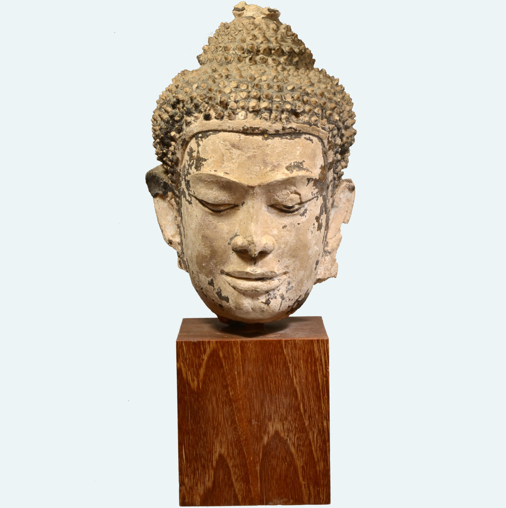 Early Thai Utong Head of Buddha - Art for Eternity