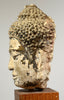 Early Thai Utong Head of Buddha - Art for Eternity