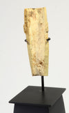 Ancient Egypt Coptic Bone Head