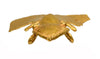 Diquis Gold Frog