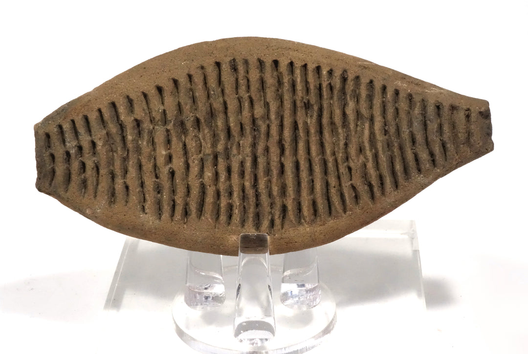 Pre Columbian Tumaco La Tolita Ceremonial Pottery Fish-Form Grater