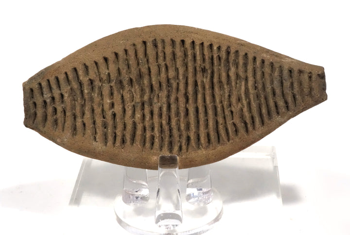 Pre Columbian Tumaco La Tolita Ceremonial Pottery Fish-Form Grater