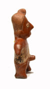Colima Pottery Phumaco Male Phallic Figure
