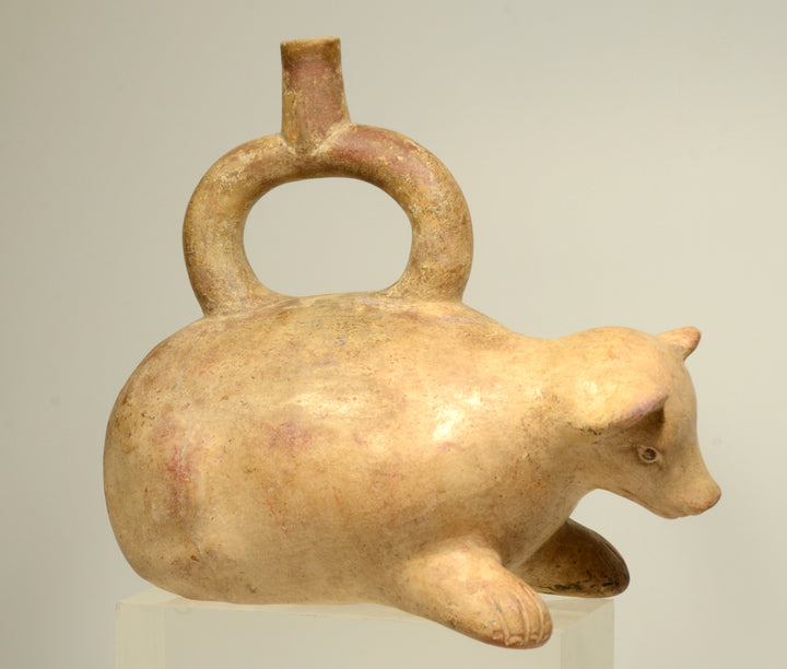 Pre-Columbian Moche Pottery Bear Stirrup Vessel