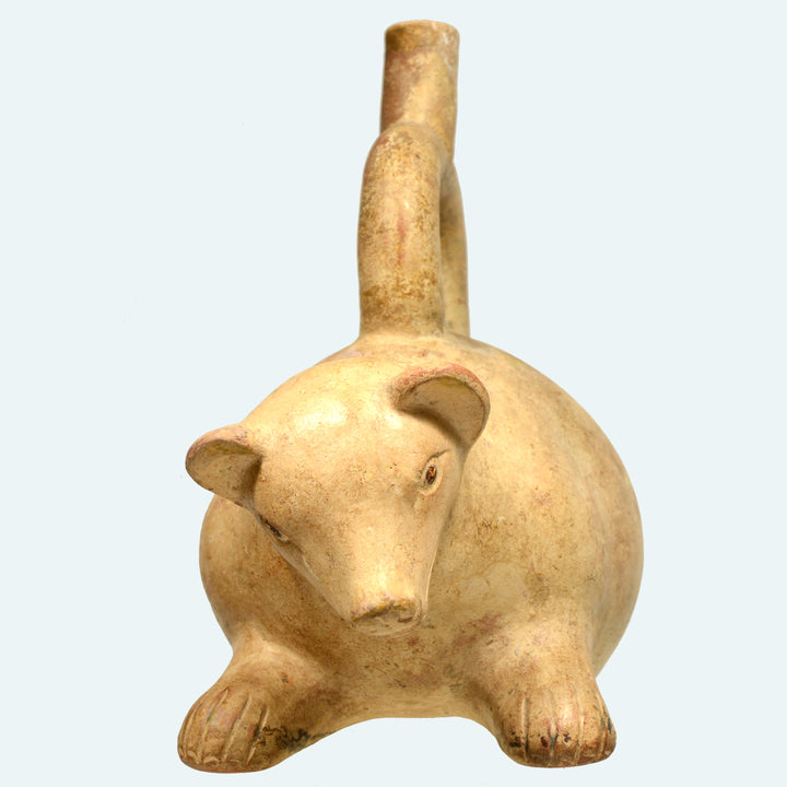 Pre-Columbian Moche Pottery Bear Stirrup Vessel