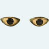 Egyptian Stone Eye Inlays