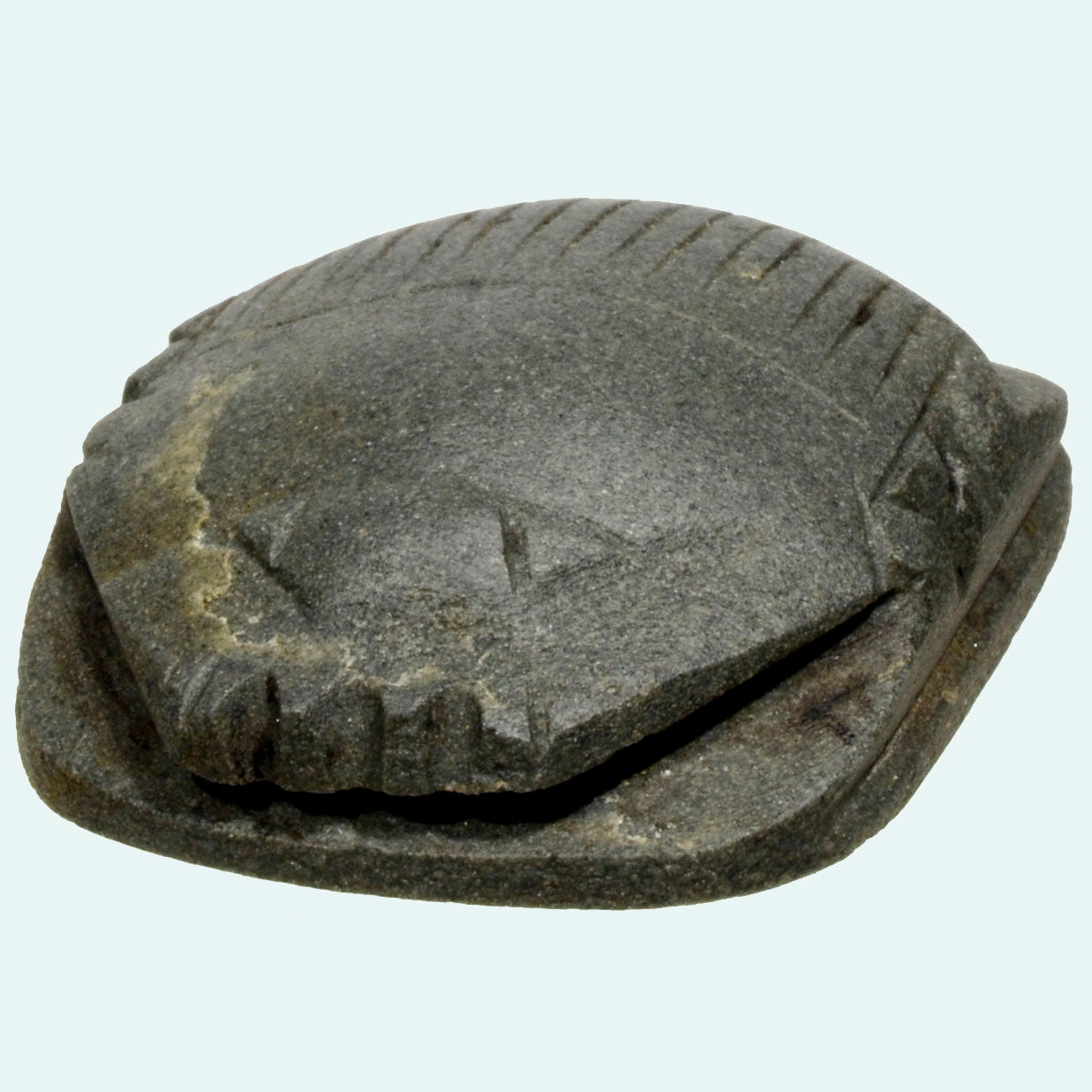 Ancient Egyptian Green Schist Stone Heart Scarab – Art for Eternity