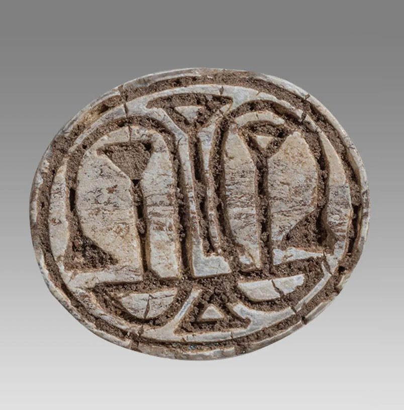 Ancient Egyptian Steatite Stone Cowrie Scarab