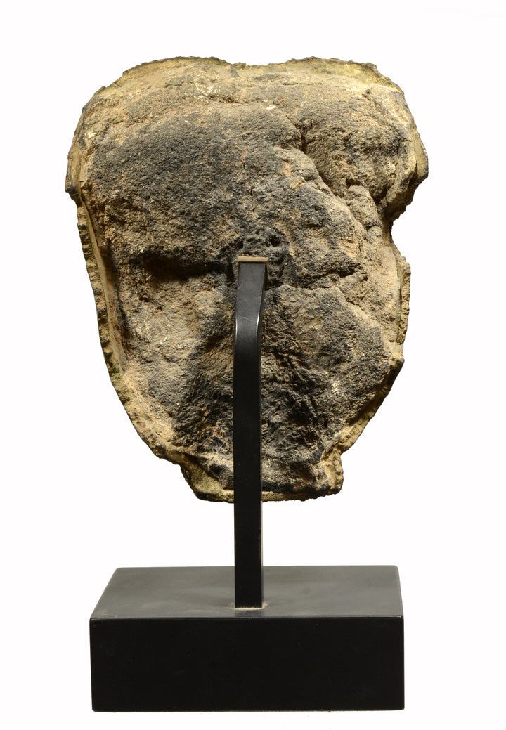 Thai Ayuthia Bronze Head of Buddha