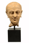 Gandharan Terracotta Male Head