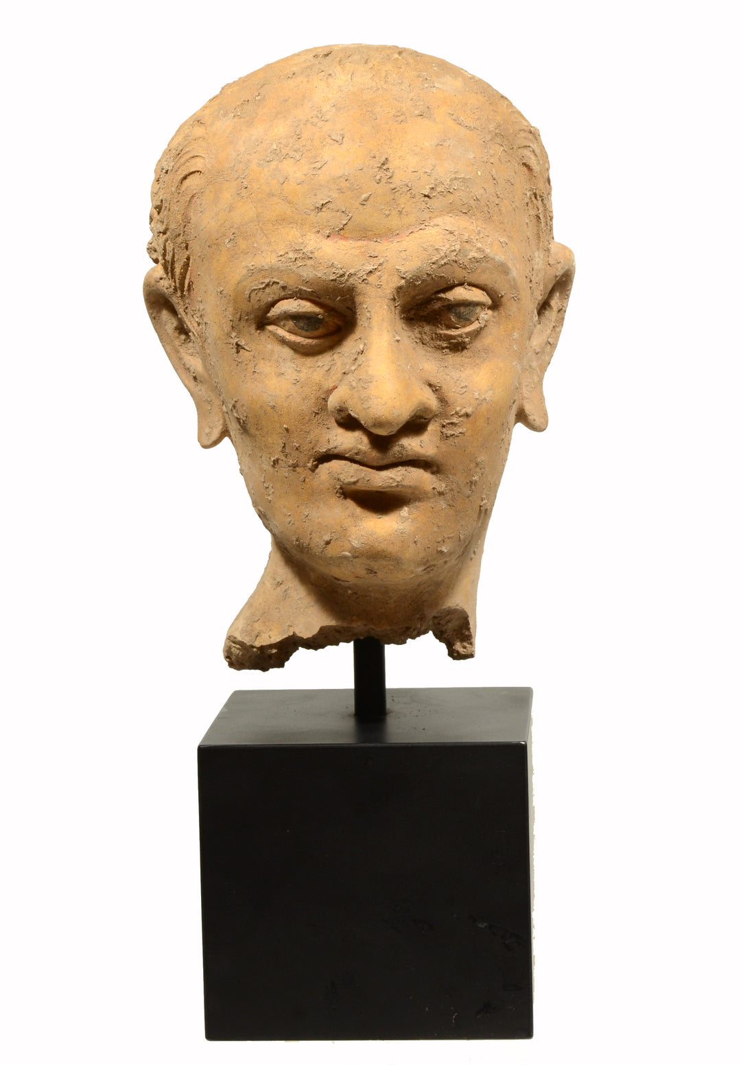 Gandharan Terracotta Male Head