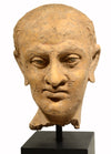 Gandharan Terracotta Male Head