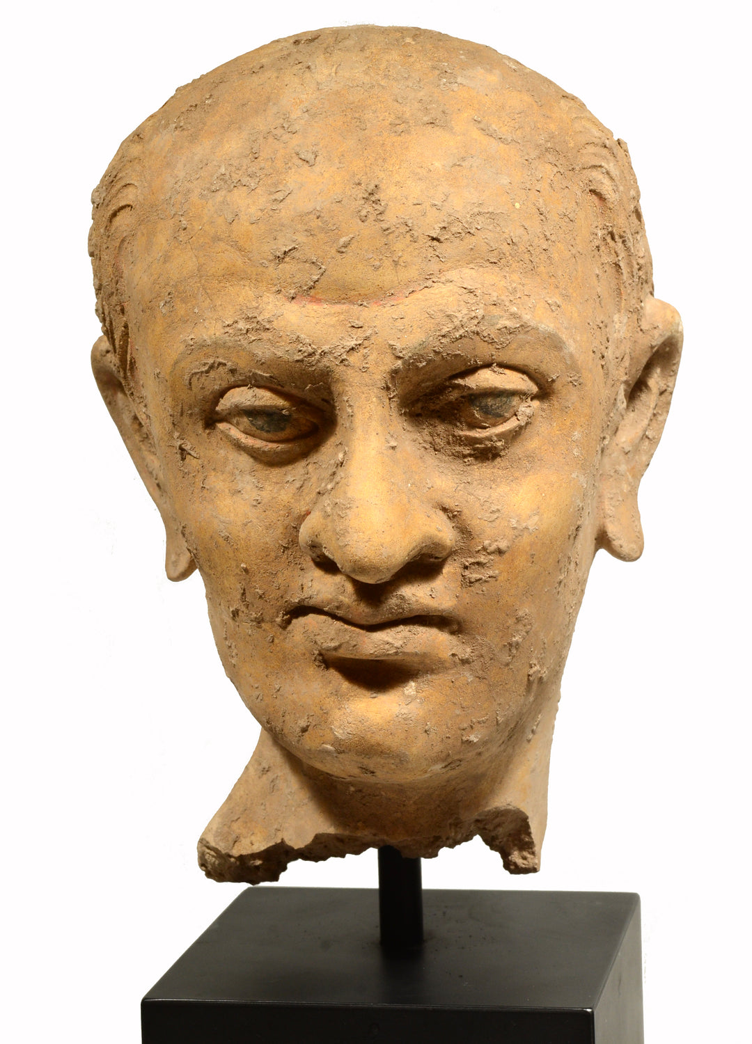 Gandharan Terracotta Male Head