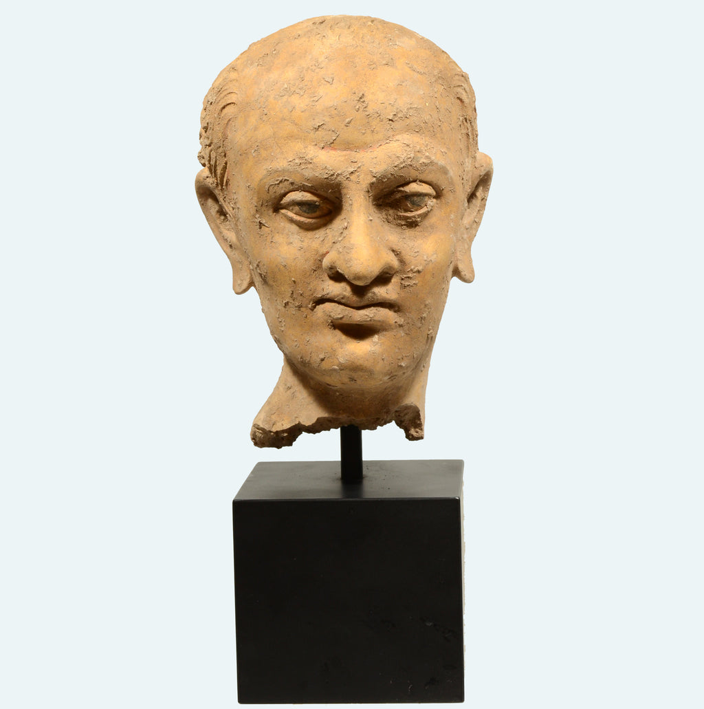Gandharan Terracotta Male Head