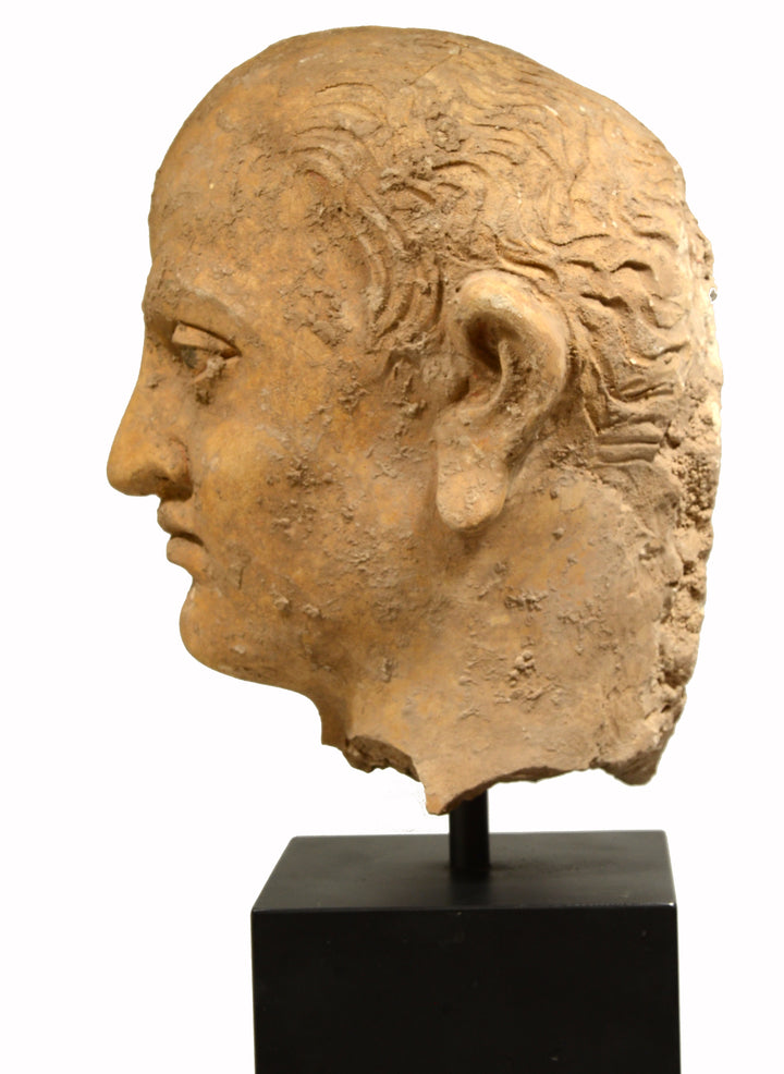Gandharan Terracotta Male Head