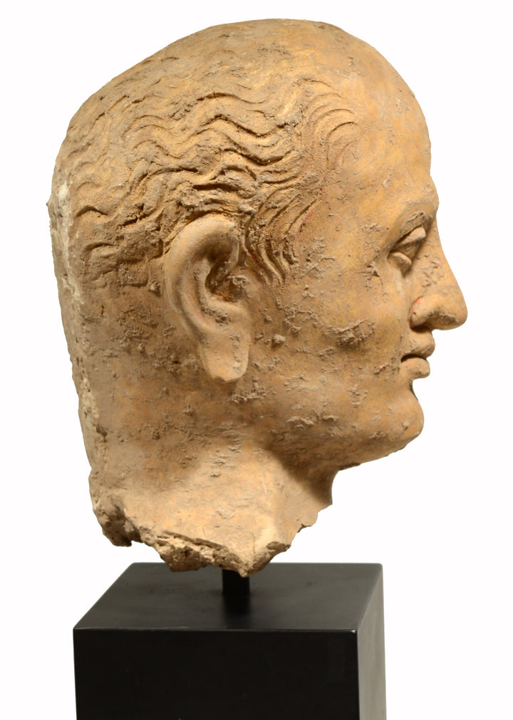 Gandharan Terracotta Male Head