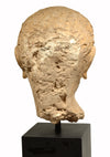Gandharan Terracotta Male Head