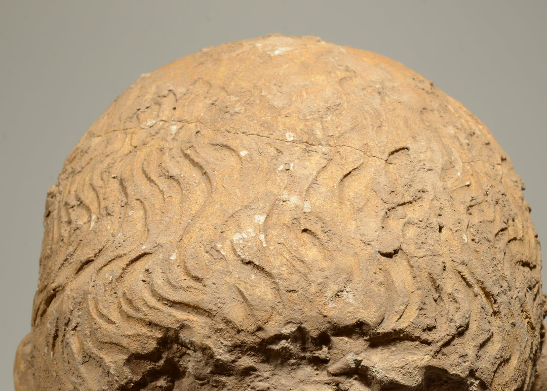 Gandharan Terracotta Male Head