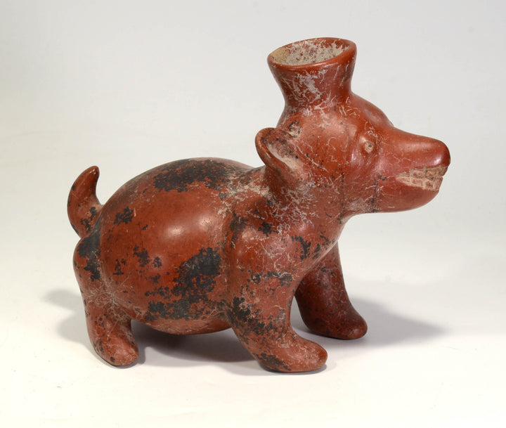 Colima Pottery Seated Dog Vessel