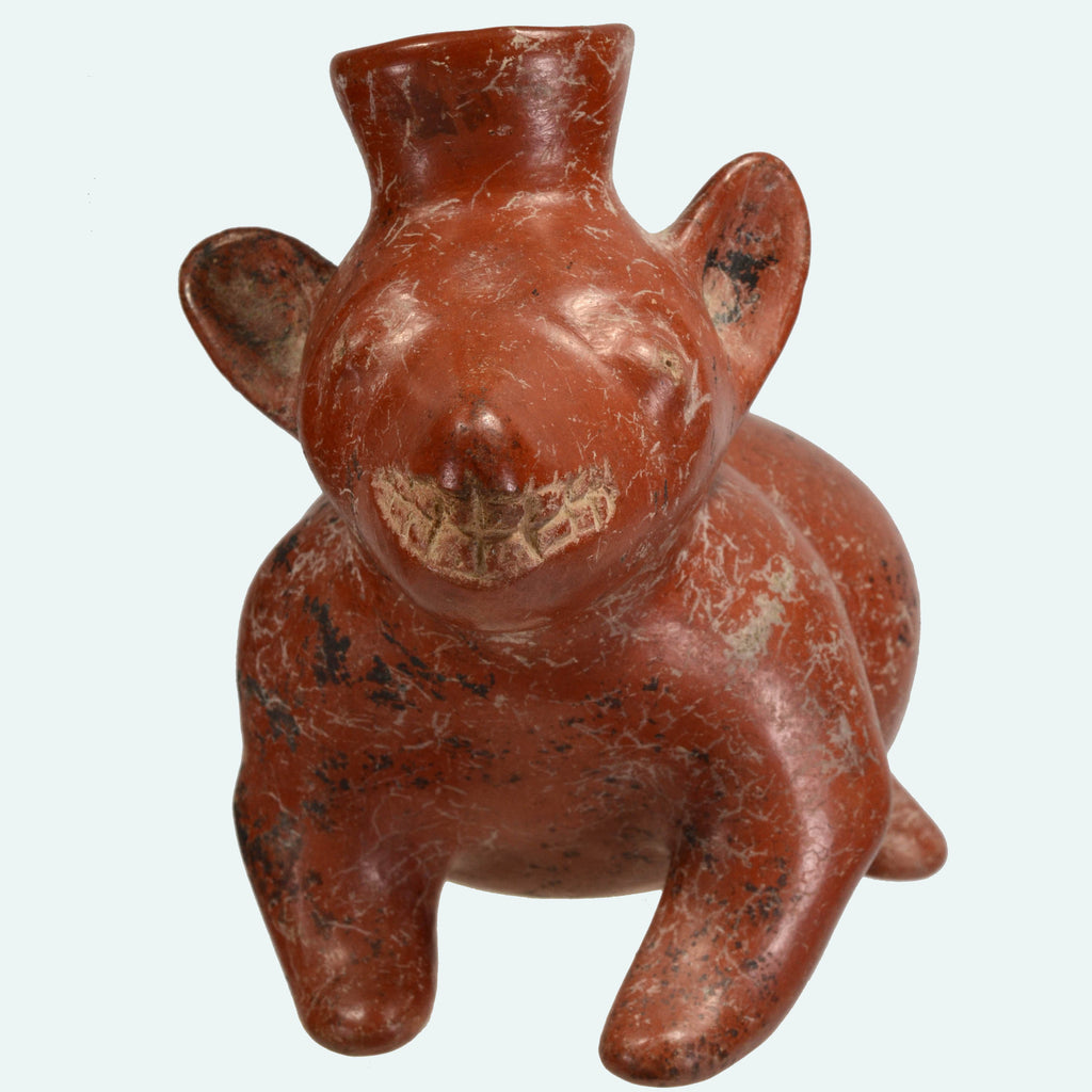 Colima Pottery Seated Dog Vessel
