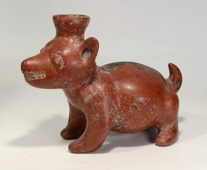 Colima Pottery Seated Dog Vessel
