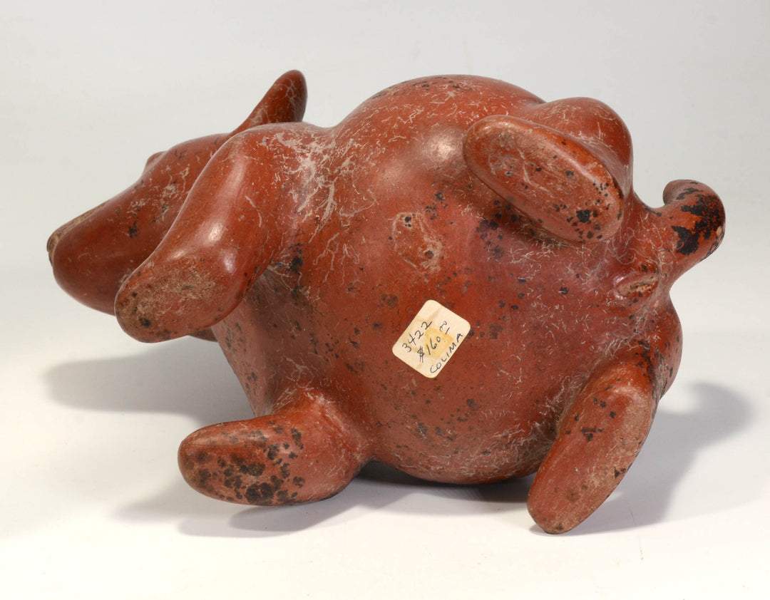 Colima Pottery Seated Dog Vessel
