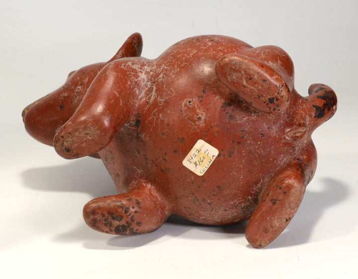 Colima Pottery Seated Dog Vessel