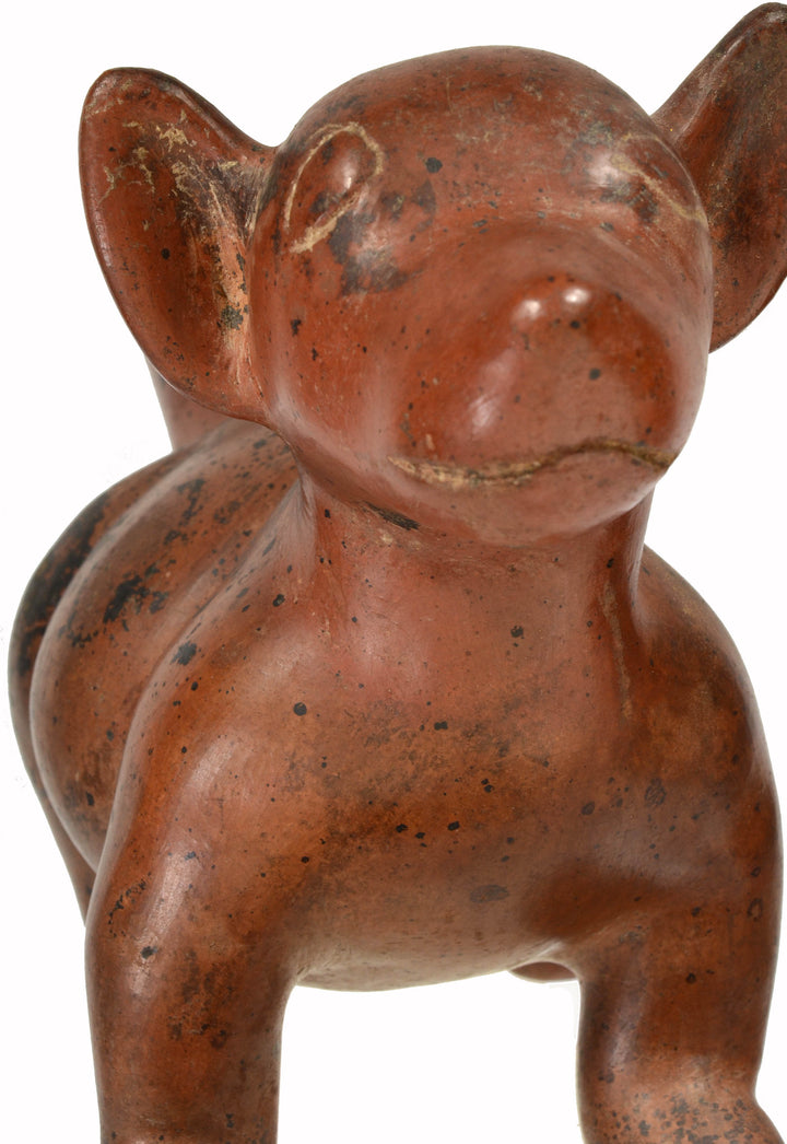 Colima Redware Standing Dog