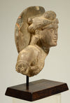 Gandhara Schist Bust of Bodhisattva
