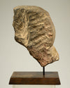 Gandhara Schist Bust of Bodhisattva