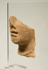 Etruscan Terracotta Fragment of a Votive Head