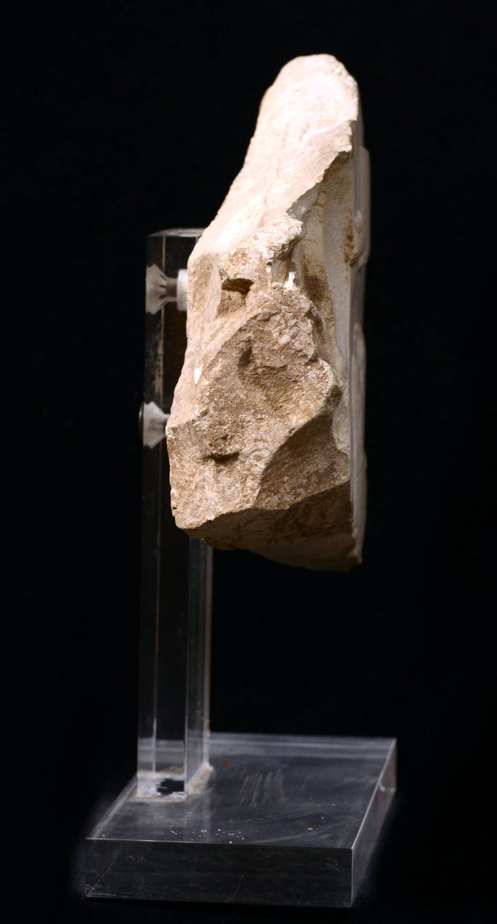 Ancient Egyptian Limestone Relief from the tomb of Mentuemhat