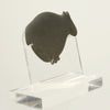 Egyptian Pre Dynastic Zoomorphic Schist Palette