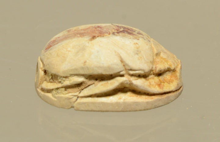Ancient Egyptian Tan Steatite Good Luck Scarab