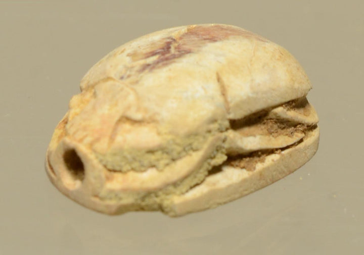 Ancient Egyptian Tan Steatite Good Luck Scarab