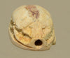 Ancient Egyptian Tan Steatite Good Luck Scarab