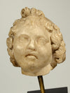 Roman Marble Head of a Youthful Male