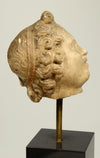Roman Marble Head of a Youthful Male