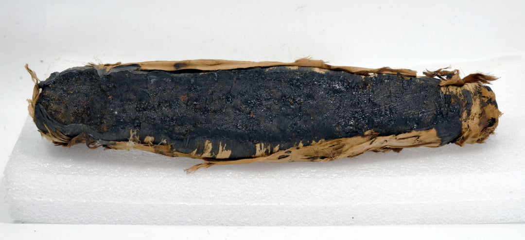 Egyptian Gilt Wood Polychrome Horus Falcon Grain Sarcophagus